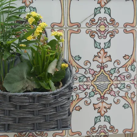 Cantinho Da Celeste Homestay Paramos